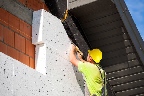 Best Commercial Insulation Services  in Idylwood, VA